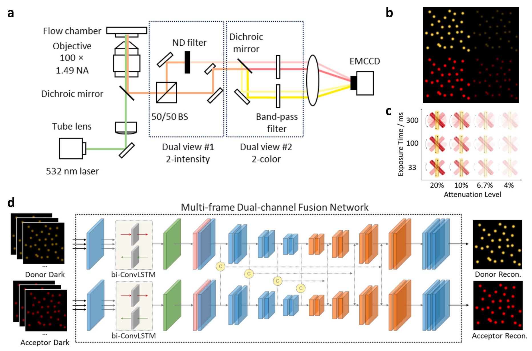X-ray pathology localization