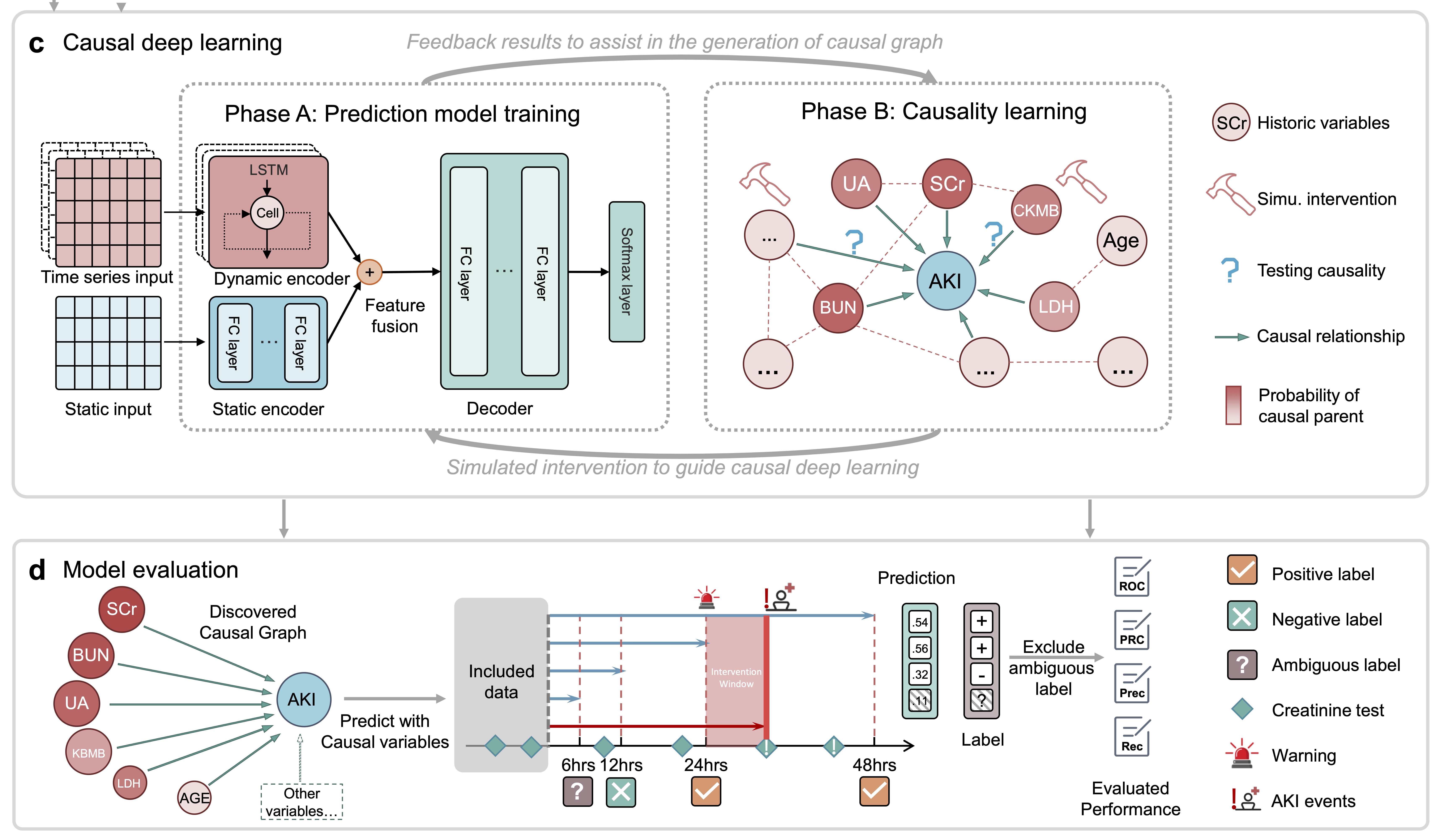 Causal deep learning for AKI